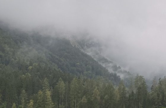 Nebelwand