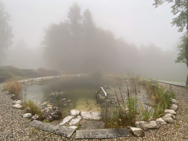 Teich